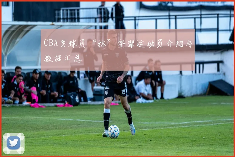 CBA男球员“林”字辈运动员介绍与数据汇总