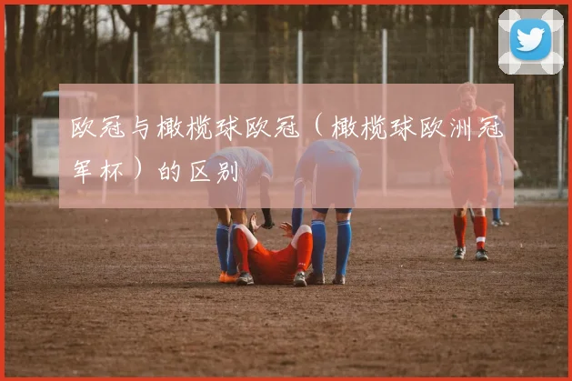 欧冠与橄榄球欧冠（橄榄球欧洲冠军杯）的区别